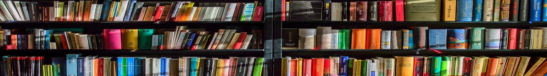 Horizontal Books Shelf